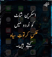 سکرین شاٹ کو اردو میں کیا کہتے ہیں